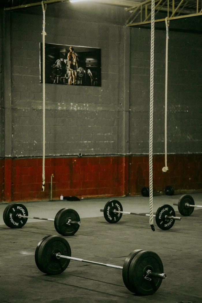 Spacious industrial gym with barbells and ropes, perfect for crossfit and weightlifting exercises.